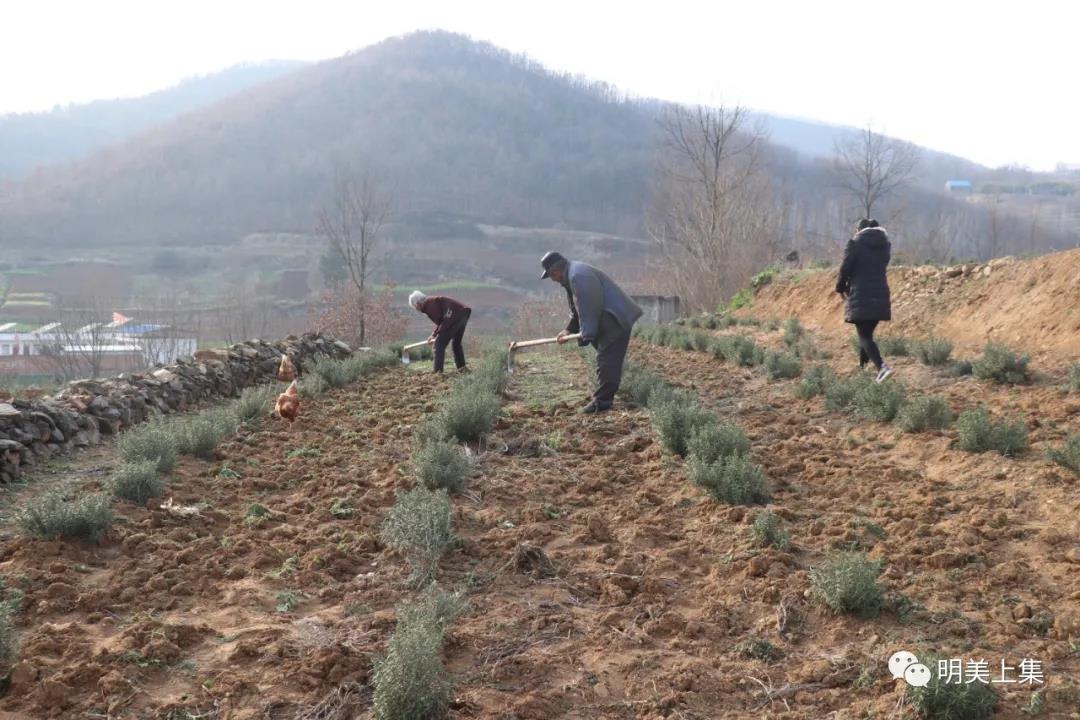 微信图片_20201119185517.jpg